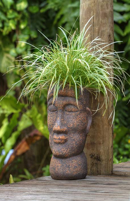 Garden Plant Polynesian Pot-Head