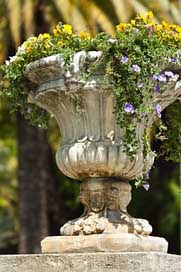 Garden Marble Antique Vase Picture