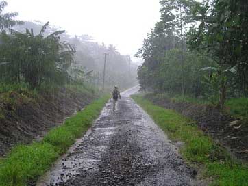 Downpour Exotic Samoa Rainy-Season Picture