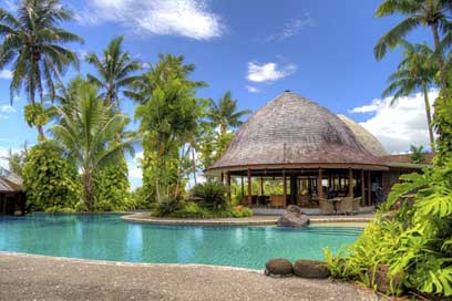 Resort Palm Swimming-Pool Samoa Picture