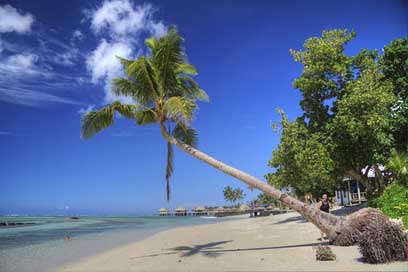 Samoa Ocean Beach Tropics Picture