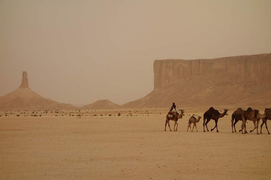 Ramadhan Ramadan Saudi-Arabia Camel-Train