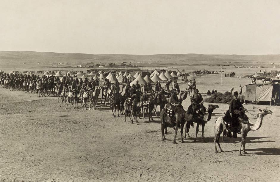 1915 Beersheba Camels Caravan