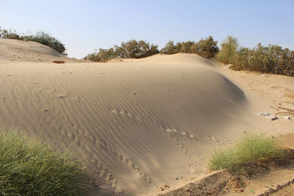 Nature Jeddah Sand Desert