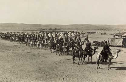 Caravan 1915 Beersheba Camels Picture