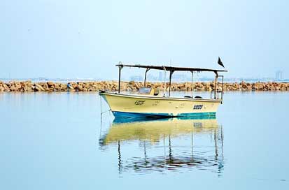 Beach Water Reflection Board Picture