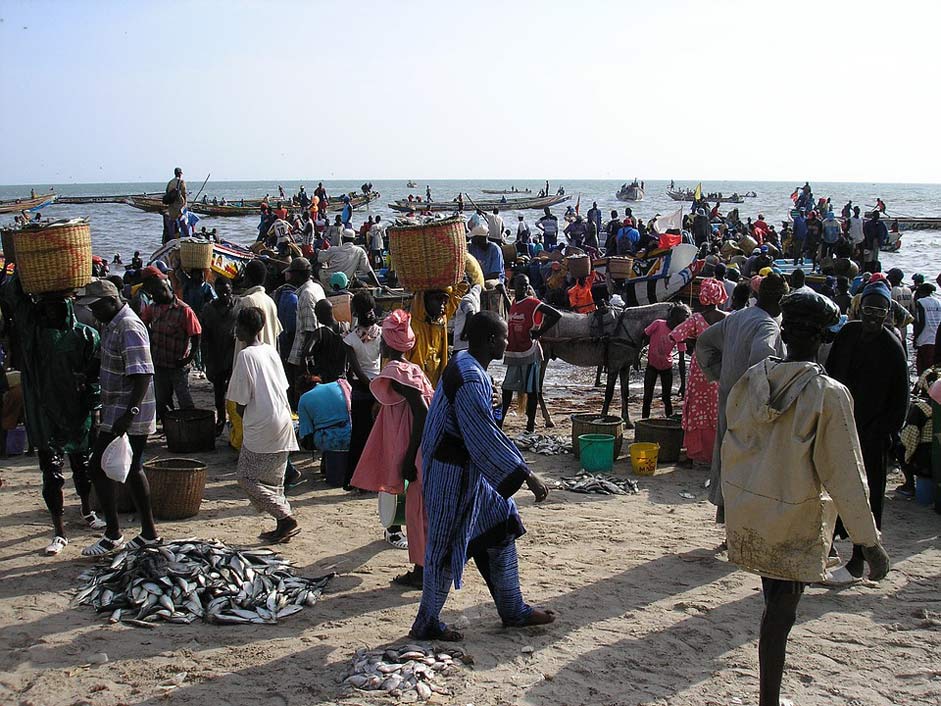 Beach Fish Fishing Senegal