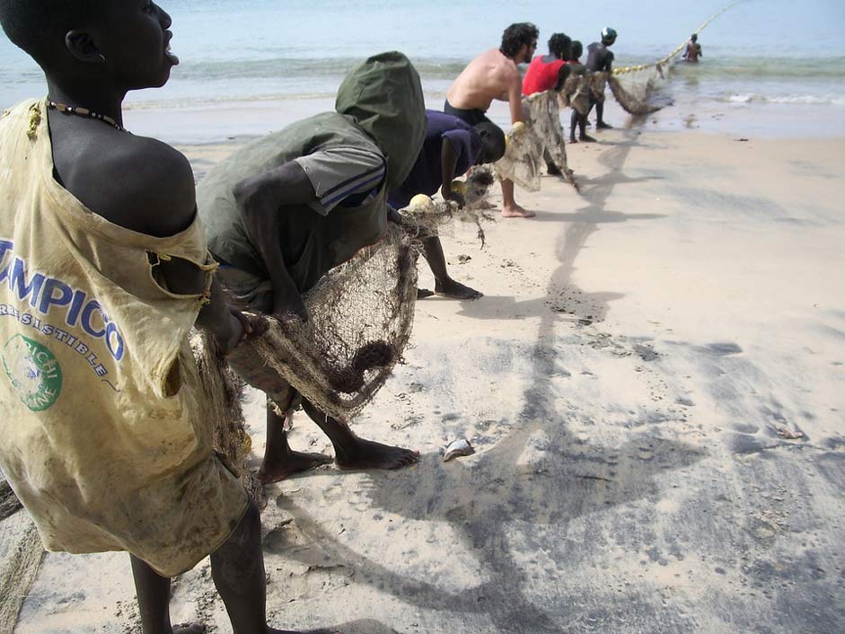 Fish Fishermen Senegal The-Peach