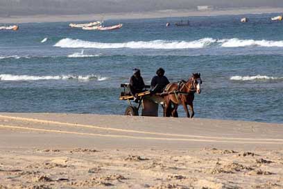 Sea Horses Cart Beach Picture