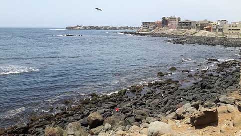 Dakar Almadie Bay-Carp Senegal Picture