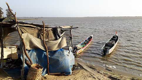 Shop-Fisherman Senegal Saint-Louis National Picture