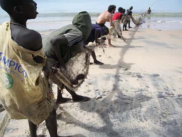 The-Peach Fish Fishermen Senegal Picture