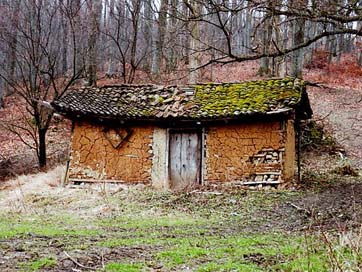 Woods Serbia Abandoned Cabin Picture