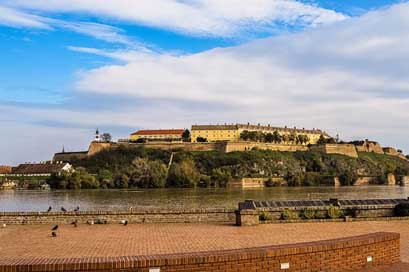Petrovaradin Novi-Sad Danube-River Fortress Picture