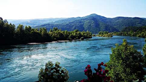 River  Serbia Nature Picture