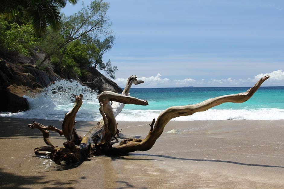 Bay Beach Major Anse