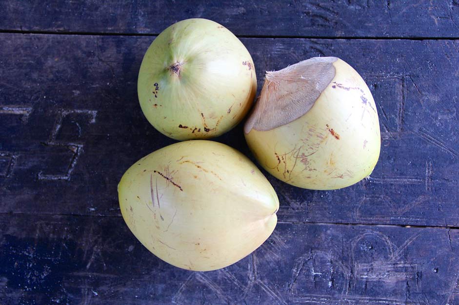 Tropical Coconut-Tree Seychelles Coconut