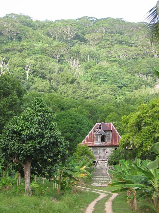 House Lapsed Ruin Hut