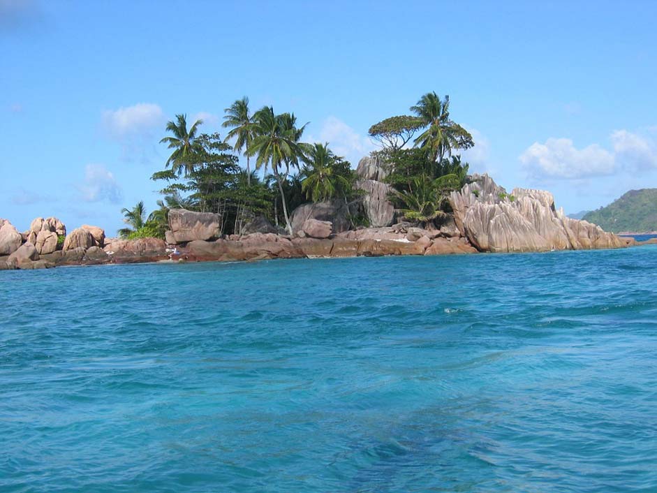 Palm-Trees Seychelles Island Pirate