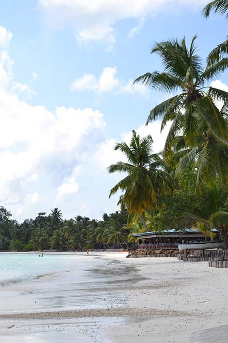 Tropical Seychelles Island Praslin