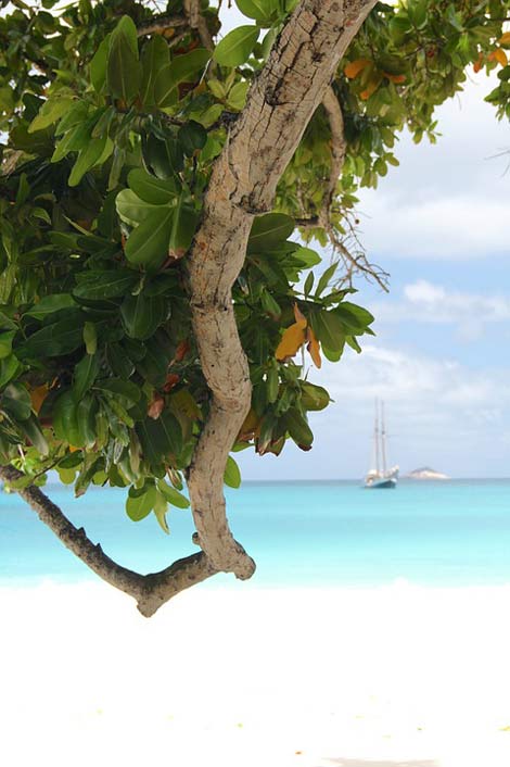 Water Seychelles Boat Sea