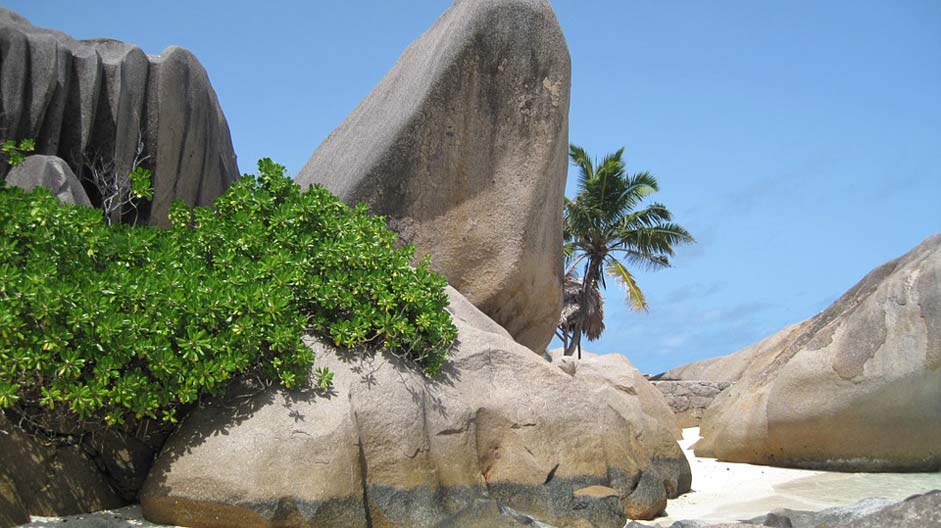 Palm-Trees Granite-Rock Beach Seychelles