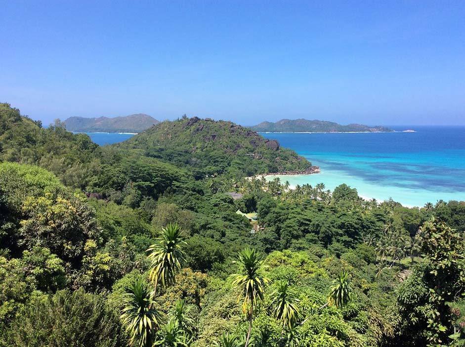 Rock Palm-Trees Indian-Ocean Seychelles