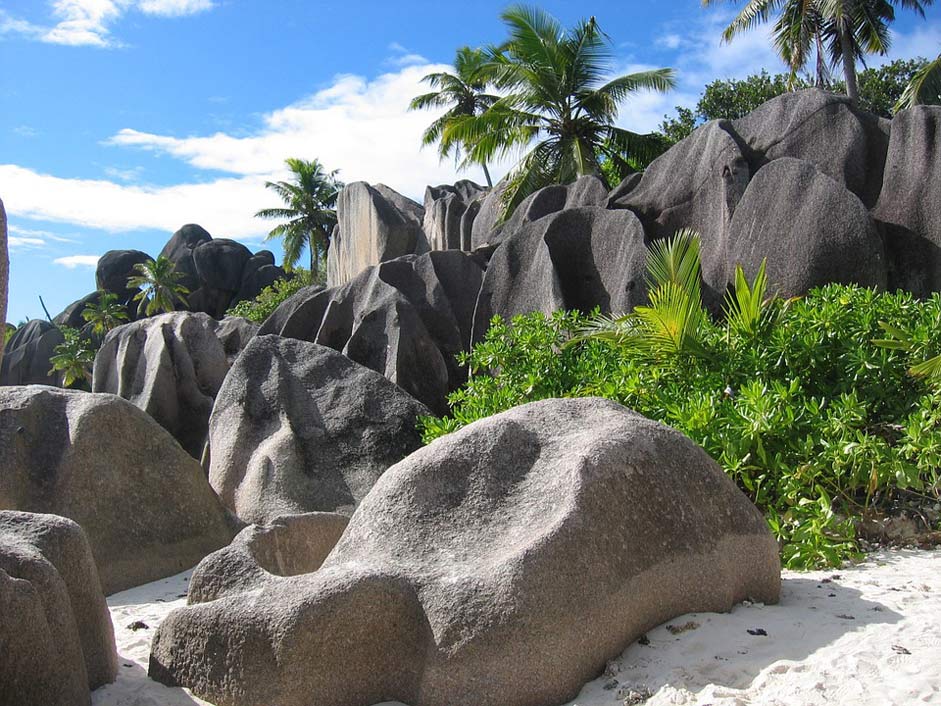 Rock Palm-Trees Vacations Seychelles