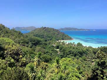 Seychelles Rock Palm-Trees Indian-Ocean Picture