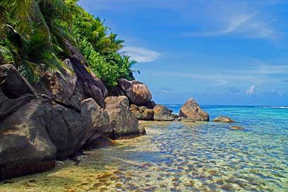 Beach Sand Ocean Shore Picture