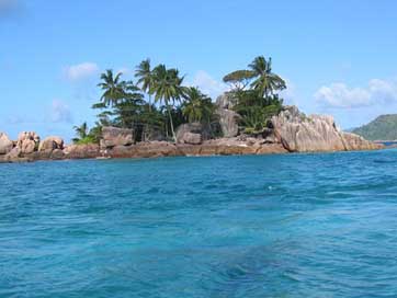 Pirate Palm-Trees Seychelles Island Picture