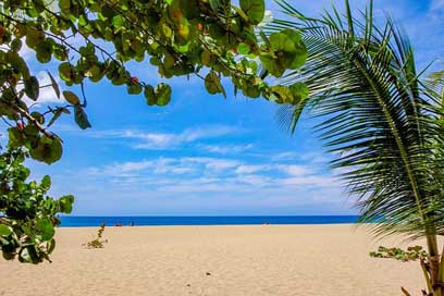 Beach Antigua Sea Caribbean Picture