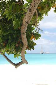 Sea Water Seychelles Boat Picture