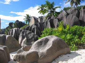 Seychelles Rock Palm-Trees Vacations Picture