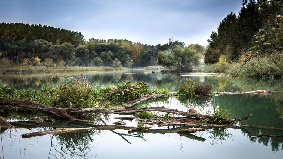 Slovakia Reflection Danube River