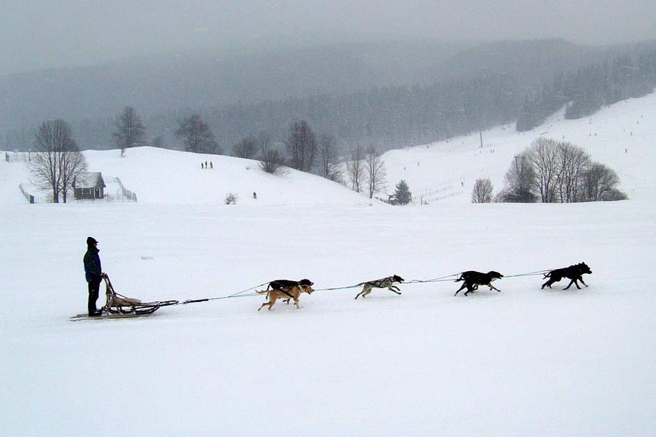 Snow Winter Donovaly Slovakia