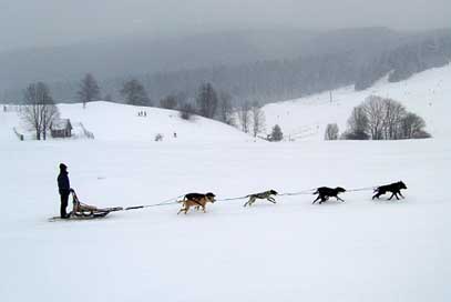 Slovakia Snow Winter Donovaly Picture