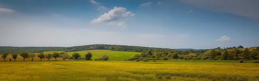 Nature Fields Slovakia Panorama Picture
