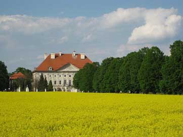 Castle House Field-Of-Rapeseeds Slovenia Picture