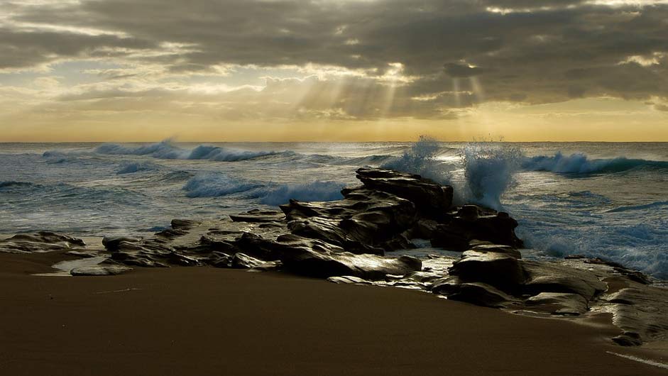  South-Africa Dolphin-Coast Beach