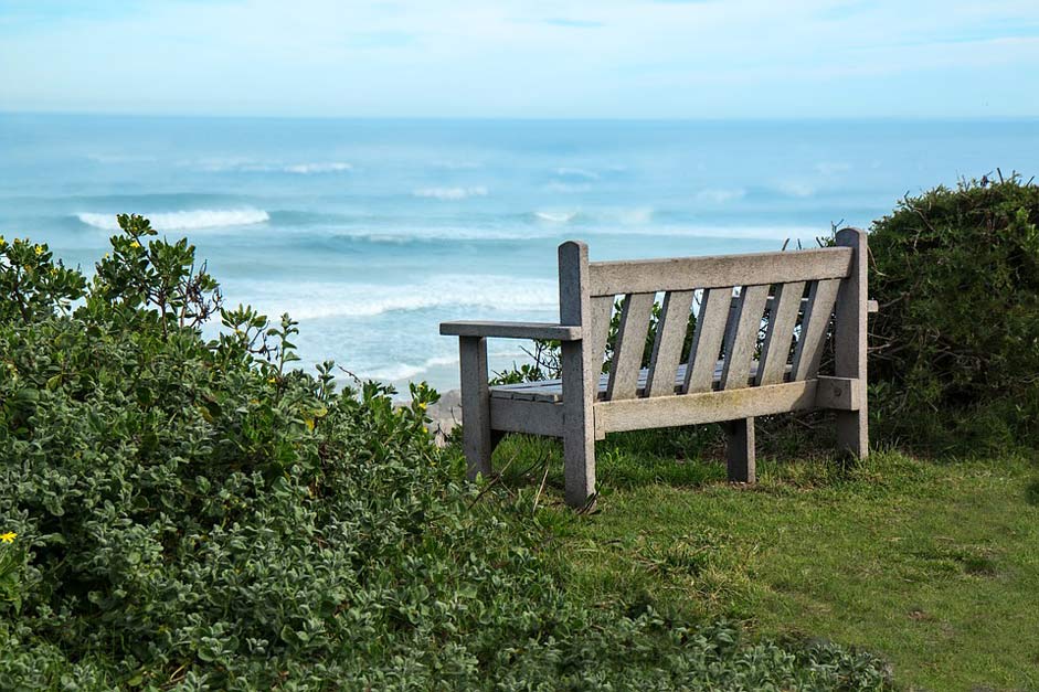 Peaceful View Seaside Bench