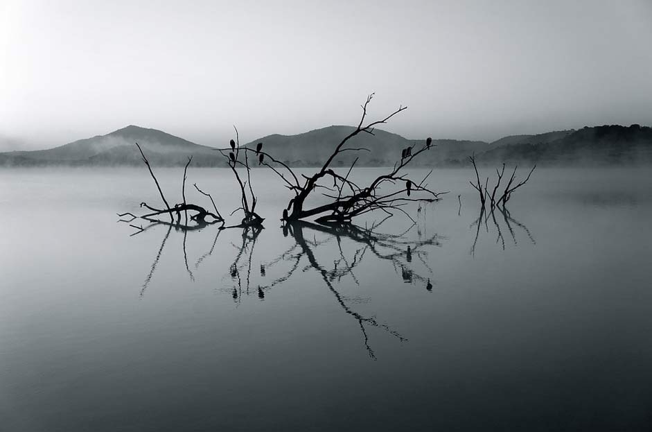 Silent Lake Africa Nature-Reserve