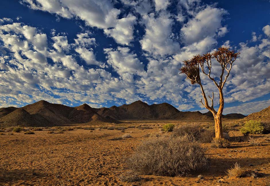 Dry Desert South-Africa Richtersveld
