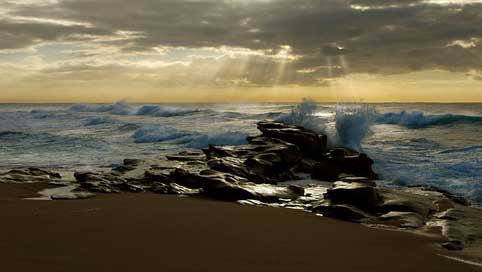 Beach  South-Africa Dolphin-Coast Picture