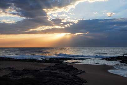 Beach  South-Africa Dolphin-Coast Picture