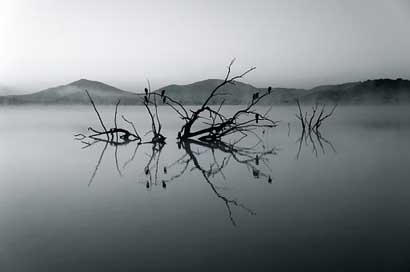 Nature-Reserve Silent Lake Africa Picture