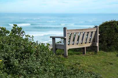 Bench Peaceful View Seaside Picture
