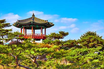 Korea Temple Architecture South-Korea Picture