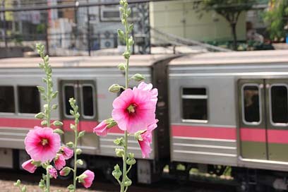 Train Korea Republic-Of-Korea Subway Picture