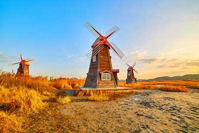 Korea Farm Salt Windmill Picture